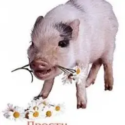 mamapapa0