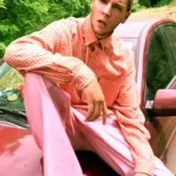 lovvesosa