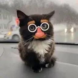 uwerhtwtuwtwe