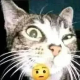 t4lch