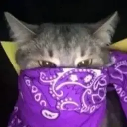 Buzybuzy