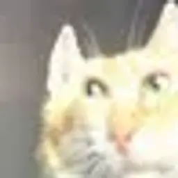 greasder