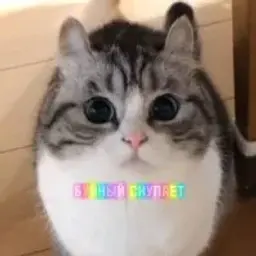 буйный_inactive4963843