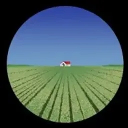 wholelottared1
