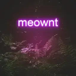 meownt