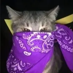 skitpink