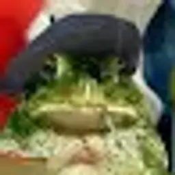 FraerHaer