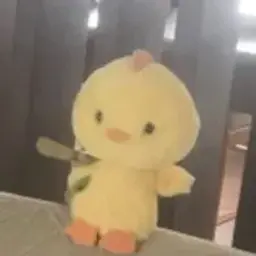 kowj