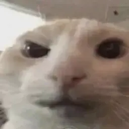 PAPIK228