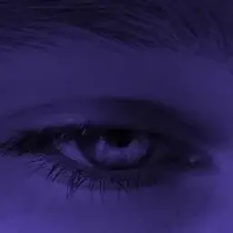 neRefyzer