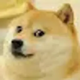 DOGi27
