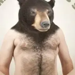 bearbear