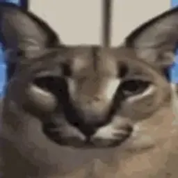 yafloppaprivet