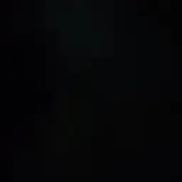 id554442829