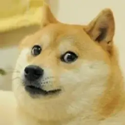 Scroll2508