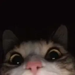 doremyy