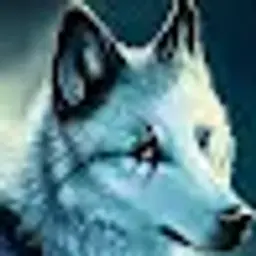 RomaTopGG