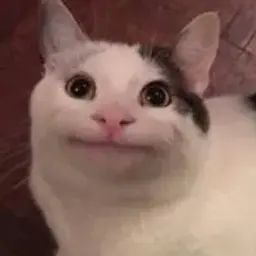 ItsBrooL