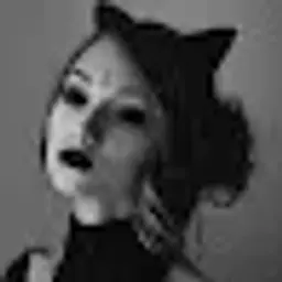 Rexxin_inactive5136135