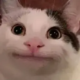 Belugga