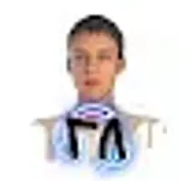 gleblubnin