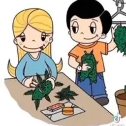 fastyyy420