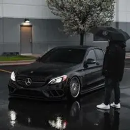 reborn6