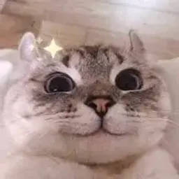 hestyy15