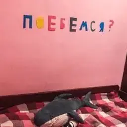 Prankerr