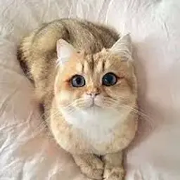 rustypoter