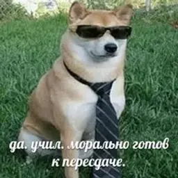 ershik228