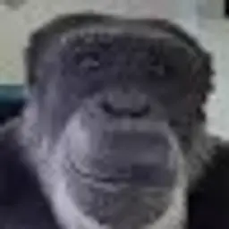 Ivan2228333