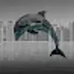 do1phin