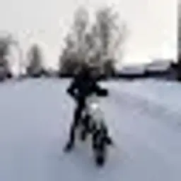 Berkut13rus