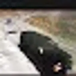 Ars25