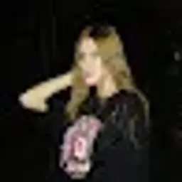 Vikuska_chiter