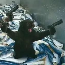 hhordienkooo