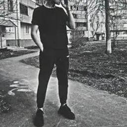 frazix_inactive5341143