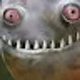 byrdmo4