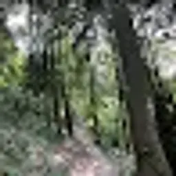 WEEEEEEEEEEE