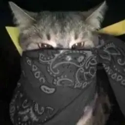 ogkust