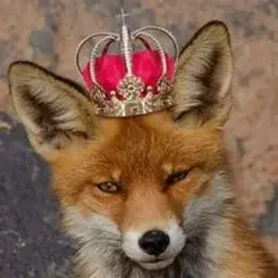 lztrox