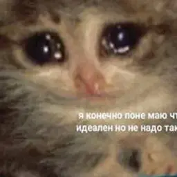 adiQMch