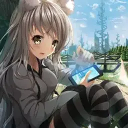 Mirorka