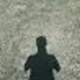 The_ViRTuS