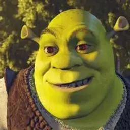 shrek285