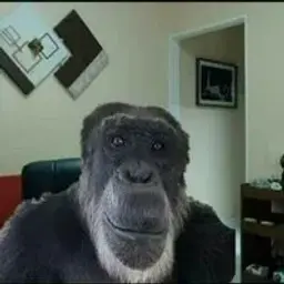 MisterMur