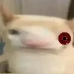 raimondXD