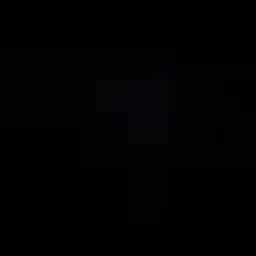 ambassador1