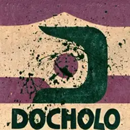 docHOLO